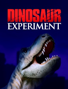 Dinosaur Experiment