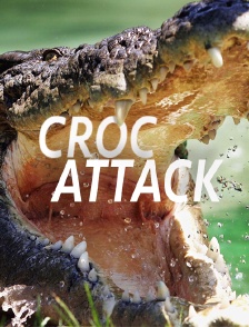 Croc Attack