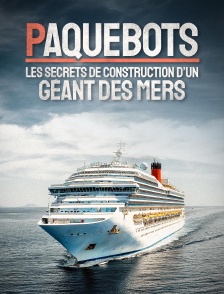 Paquebots : Les secrets de construction d'un géant des mers