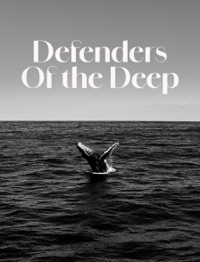 Defenders Of the Deep