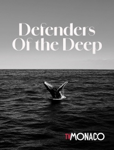 TV Monaco - Defenders Of the Deep