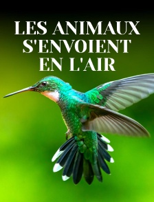 Les animaux s'envoient en l'air