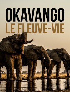 Okavango : Le fleuve des rêves