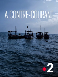France 2 - A contre-courant