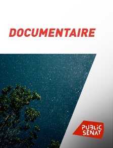 Documentaire