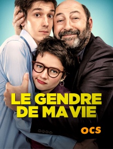 OCS - Le gendre de ma vie