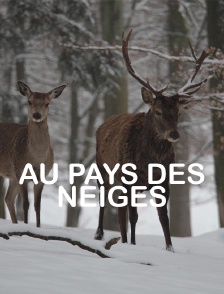 Au pays des neiges