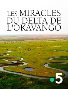 France 5 - Les miracles du delta de l'Okavango