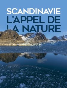 Scandinavie : l'appel de la nature