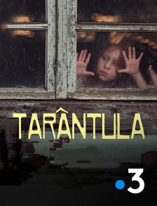 Tarantula