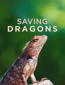 Saving dragons