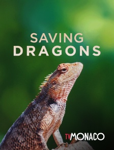 TV Monaco - Saving dragons