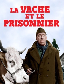 La vache et le prisonnier