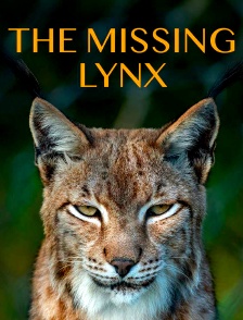 The missing lynx