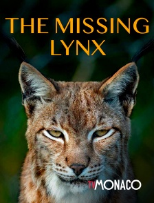 TV Monaco - The missing lynx en replay