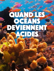 Quand les océans deviennent acides