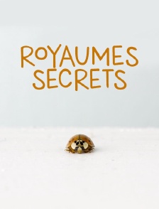 Royaumes secrets