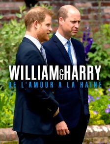 William et Harry : de l'amour à la haine