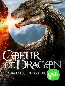 Gulli - Coeur de dragon 4 : la bataille du coeur de feu