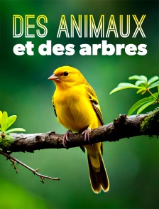 Des animaux et des arbres