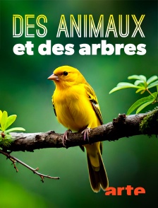 Arte - Des animaux et des arbres