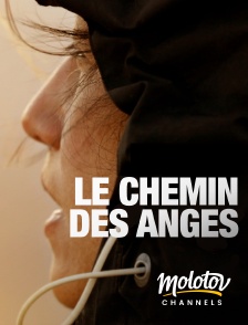 Molotov channels - Le chemin des anges