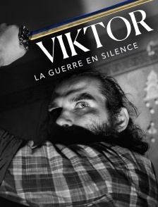 Viktor : La guerre en silence