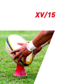 XV/15