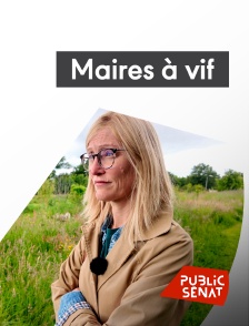 Public Sénat - Maires à vif