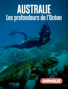 Animaux - Australie : les profondeurs de l’Océan