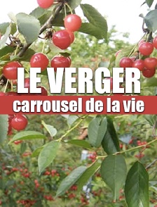 Le verger, carrousel de la vie