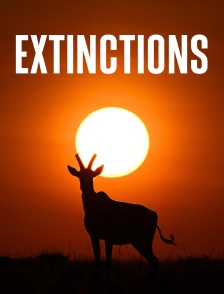 Extinctions