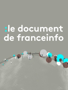 Le document de franceinfo