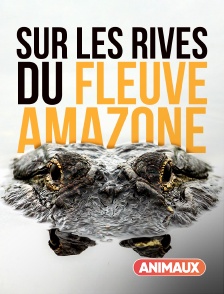 Sur les rives du fleuve Amazone