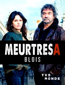 TV5MONDE - Meurtres à Blois