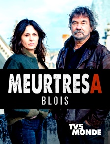 TV5MONDE - Meurtres à Blois