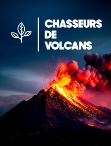 Chasseurs de volcans