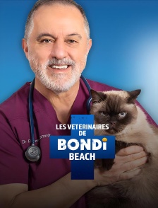 Les vétérinaires de Bondi Beach