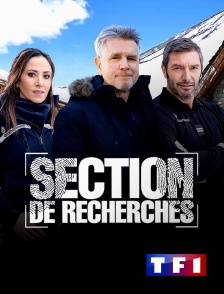 TF1 - Section de recherches