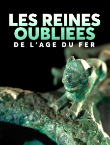 Les reines oubliées de l'âge du fer