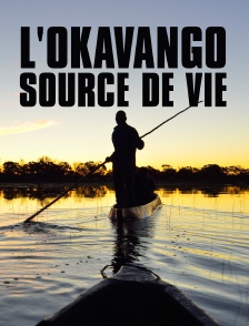 L'Okavango, source de vie