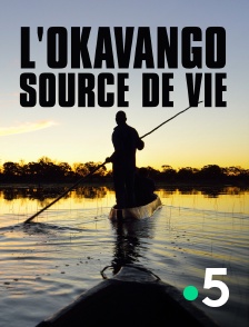 L'Okavango, source de vie