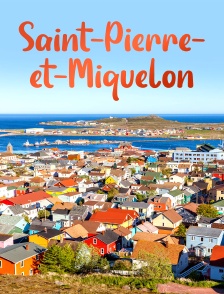 Saint-Pierre-et-Miquelon : Un petit coin de France en Amérique