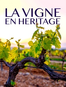 La Vigne en héritage