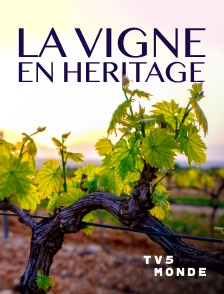 TV5MONDE - La Vigne en héritage