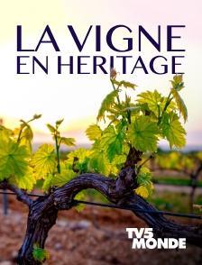 TV5MONDE - La Vigne en héritage