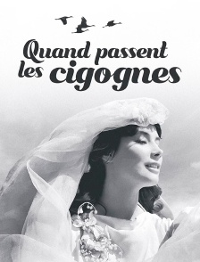 Quand Passent les Cigognes