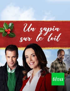 Téva - Un sapin sur le toit