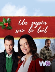 W9 - Un sapin sur le toit