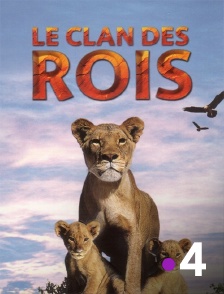 France 4 - Le clan des rois